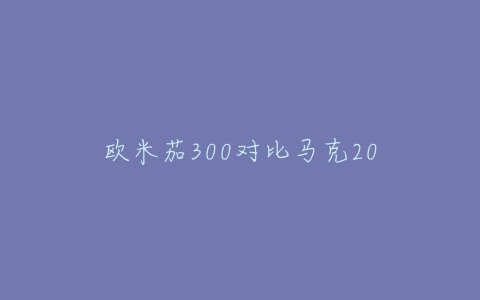 欧米茄300对比马克20