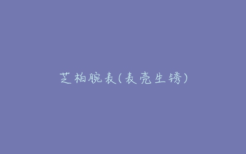 芝柏腕表(表壳生锈)