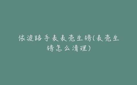 依波路手表表壳生锈(表壳生锈怎么清理)