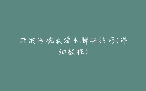 沛纳海腕表进水解决技巧(详细教程)