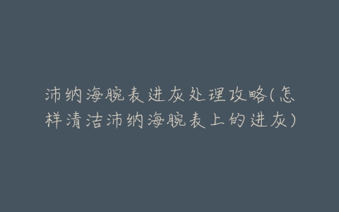 沛纳海腕表进灰处理攻略(怎样清洁沛纳海腕表上的进灰)