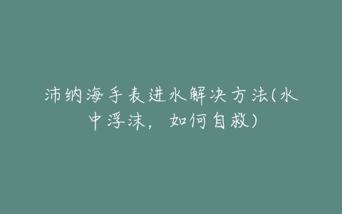 沛纳海手表进水解决方法(水中浮沫，如何自救)