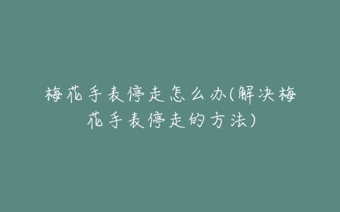 梅花手表停走怎么办(解决梅花手表停走的方法)