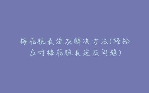 梅花腕表进灰解决方法(轻松应对梅花腕表进灰问题)