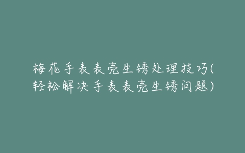 梅花手表表壳生锈处理技巧(轻松解决手表表壳生锈问题)