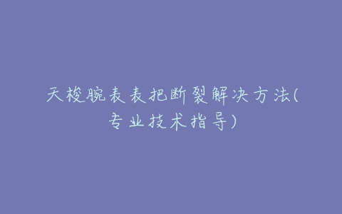 天梭腕表表把断裂解决方法(专业技术指导)